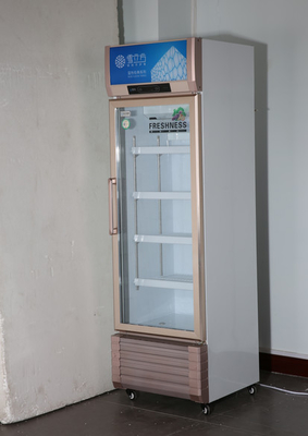 LC-338 Professional Manufacture Refrigerated Showcase Commercial Upright Freezer