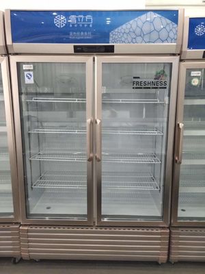 Upright 2 Door Glass Commercial Freezer Drink Fan Cooling