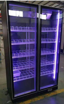 Small Size Bar Restaurant Wine Vertical Display Freezer Glass Door Display Freezer