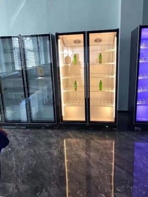 BAR AND NIGHTCLUB DEDICATED WINE DISPLAY FREEZER VERTICAL REFRIGERATOR