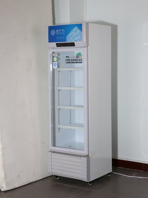 338L Drinks Glass Door Display Freezer Direct Cooling Single Door