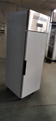 Vegetable Meat Stainless Steel Freezers Single Door 16 Cu Ft
