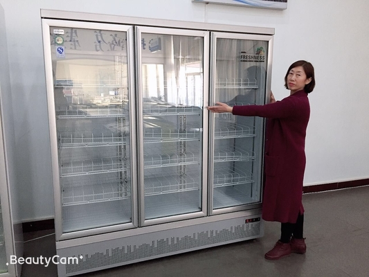 Commercial Upright Glass Door Display Freezer 3 Door
