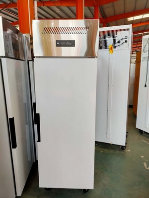 Single Door Stainless Steel Small Fresh Freezer Household for Food Meat
